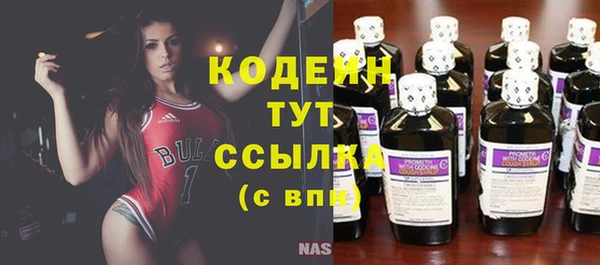 твердый Володарск