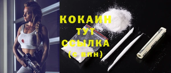 PSILOCYBIN Волосово