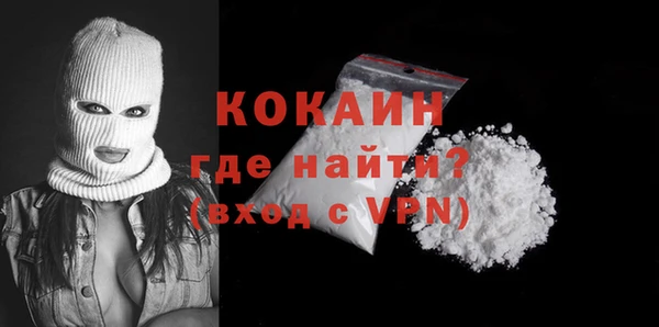 мяу мяу мука Бородино