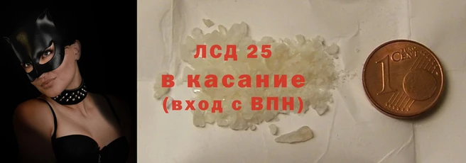 PSILOCYBIN Волосово