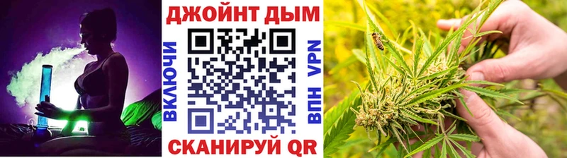 где купить   Донской  Канабис индика 
